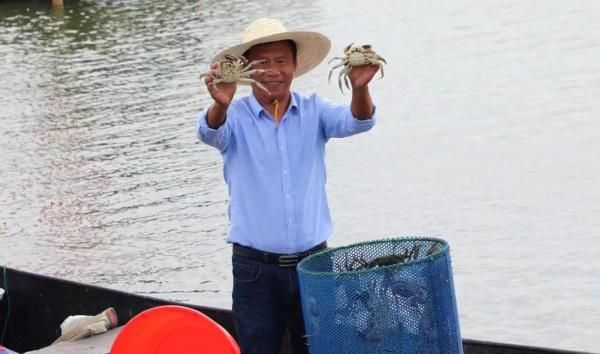 苏州阳澄湖大闸蟹即将上市，最佳赏食期在10月中下旬