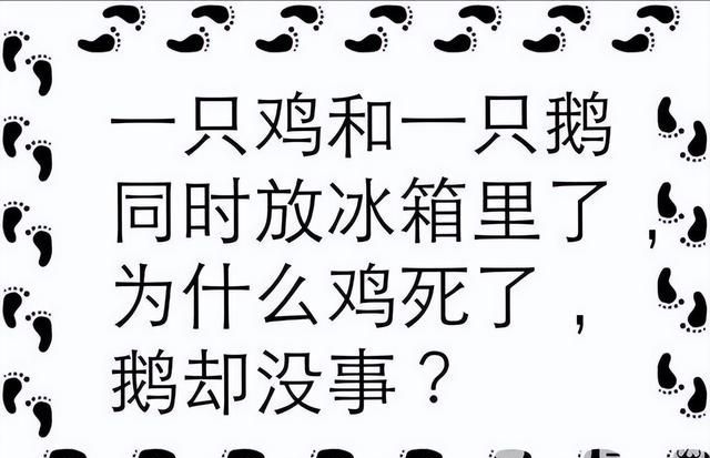 脑筋急转弯（1）沙雕又搞笑，你能答对多少