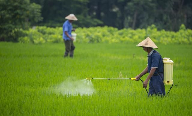 民间为何认为农历5月21会下雨？有何说法，四句老话知详情