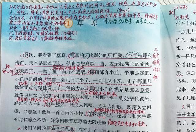 语文《草原》，看资深教师手写笔记，学生看了表示很有用