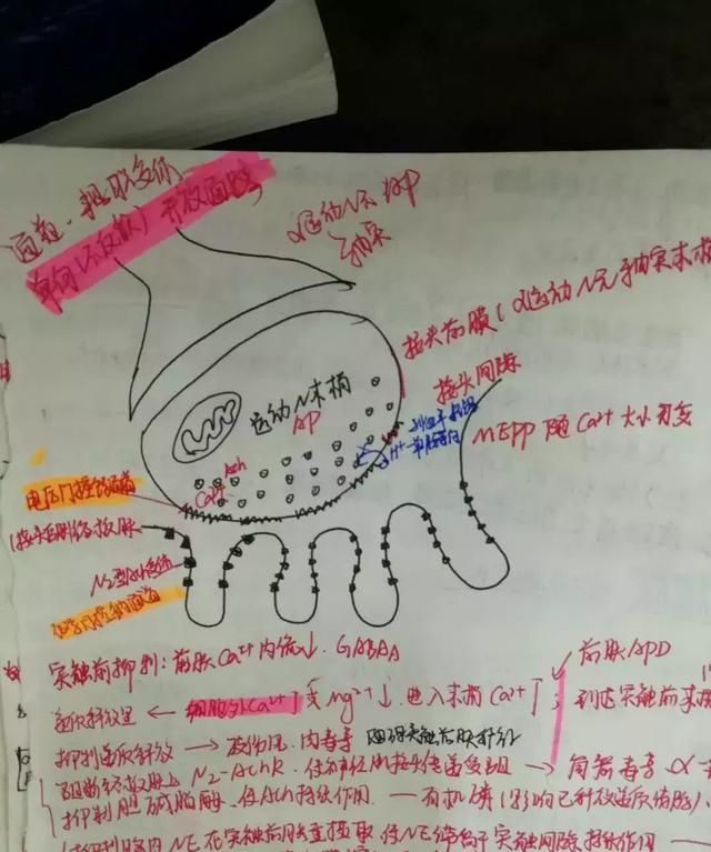 英语一89，西医临床227。二本上岸协和阜外心血管内科学硕