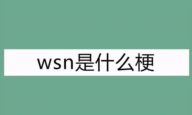 wsn是什么梗？饭圈中wsn居然是代表这三个字