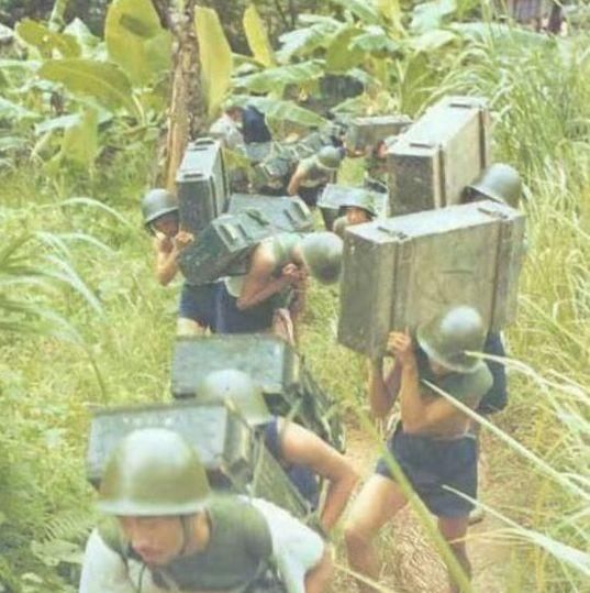 1984年7月，老山前线，解放军取得松毛岭大捷，这些人有功