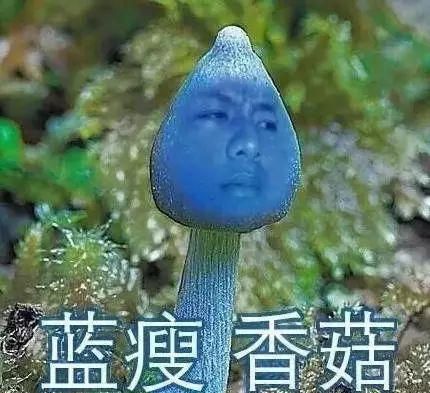 “洪荒之力"已经过去3年了！2019年十大网络热词最新出炉，你都听过吗？