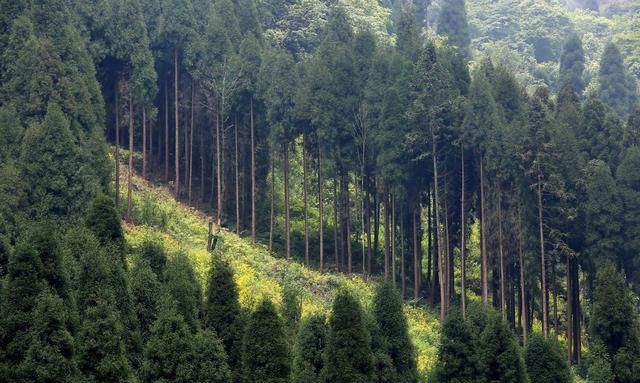 “会当凌绝顶，一览众山小”这十座大山，会让你感受到攀登的魅力