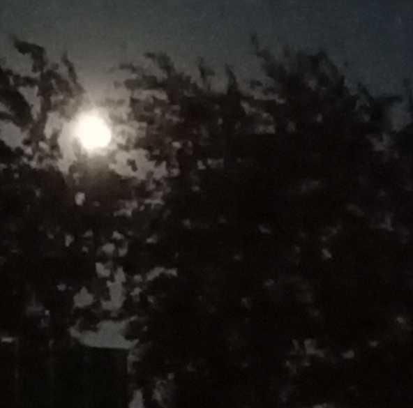 今夜的月亮