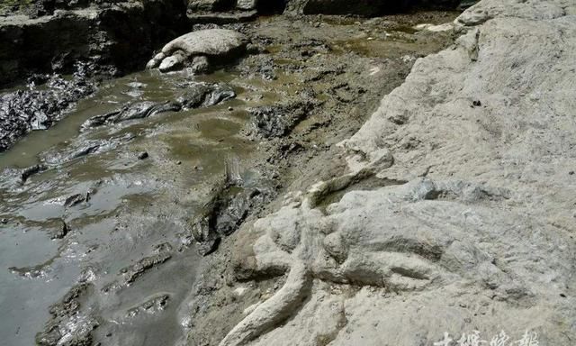 湖北武当山出土神秘骸骨，造型奇特犹如传说中的龙骨