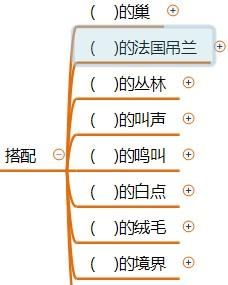 部编版语文五年级《珍珠鸟》基础知识思维导图