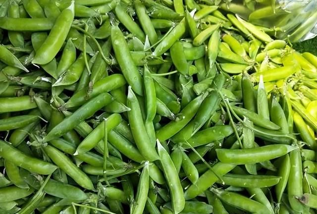 新鲜豌豆上市，10元7斤，一次买50元，教你保存方法，随时都能吃