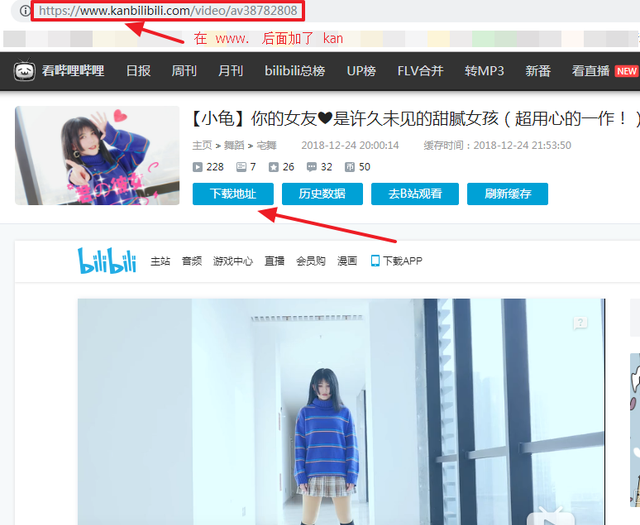 下载B站视频，小技巧来一发，傻瓜式操作