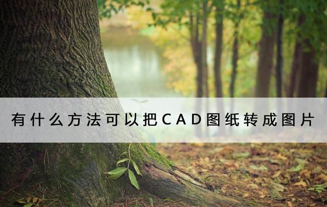 有什么方法可以把CAD图纸转成图片？这两个方法都行