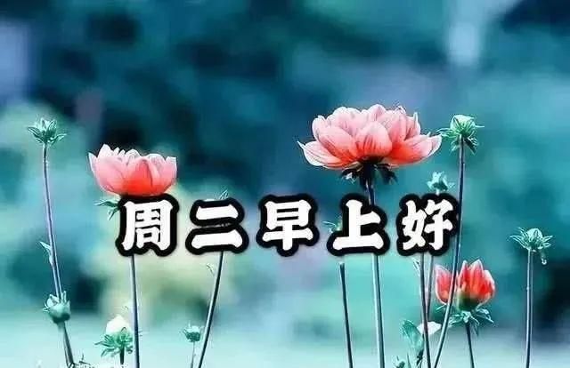 周二唯美微信群发早安祝福短信送朋友 3月最新版早安问候祝福语