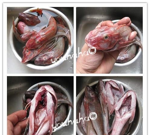 乌贼鱼烧肉家常做法,红头鱼炖豆腐太咸了怎么办图5