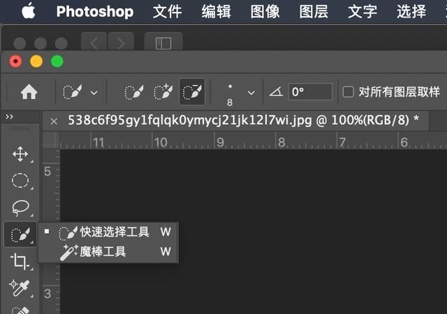 后期抠图神器，Photoshop 2020“对象选择工具”如何设置和使用？