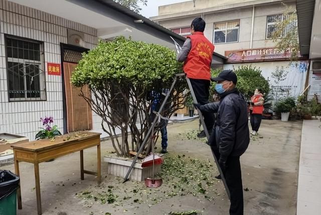 三门峡市绿化工程管理处开展“四送一助力”结对帮创志愿服务活动