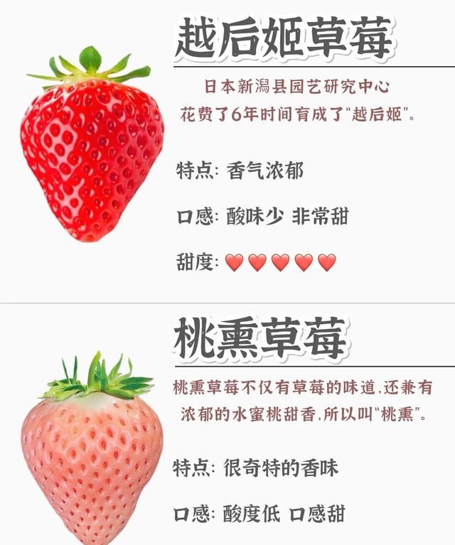 常见草莓的区别及营养价值