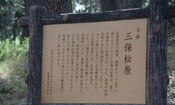 松树在中国人与日本人眼中为何会有大不同？