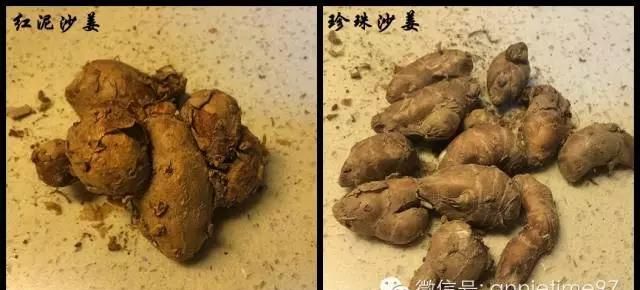 嫩姜炒牛腱子,沙姜爆炒墨鱼怎么做才好吃图4