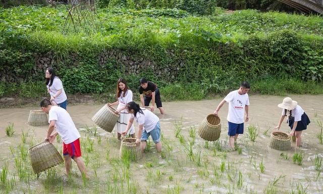 神秘的苗族习俗，十二道拦门酒、吃新节、祭鼓神每一项都令人惊奇