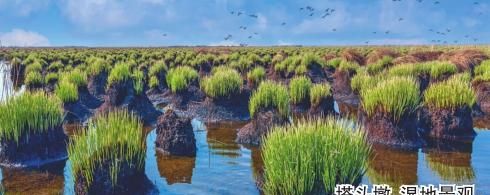 黑龙江国际重要湿地