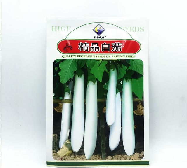 农户种植特色蔬菜，白色茄子可以试种下，口感细嫩，味甜又爽口