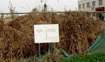 西安高校挖出秦始皇祖母墓 学子戏称入了古墓派