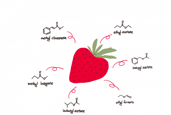 葡萄酒为什么有草莓的味道(自制葡萄酒草莓味怎么做)图4