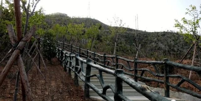 长汀县马兰山金融生态示范林基地项目：打造休闲观光的生态福地