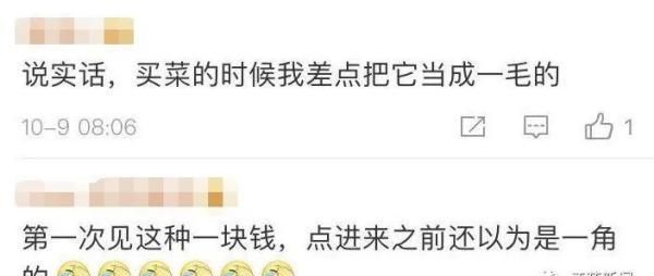 这个小一点的1元是什么？