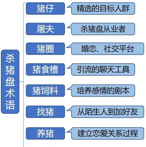 30岁还单身？2020恋爱宝典来了