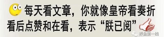 水的导温特性与水温变化规律：水温变化的独特性与季节的变化规律