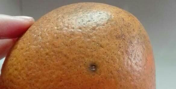 发霉腐烂的橙子坏了一点，可以吃吗？80后怎么让其变废为宝