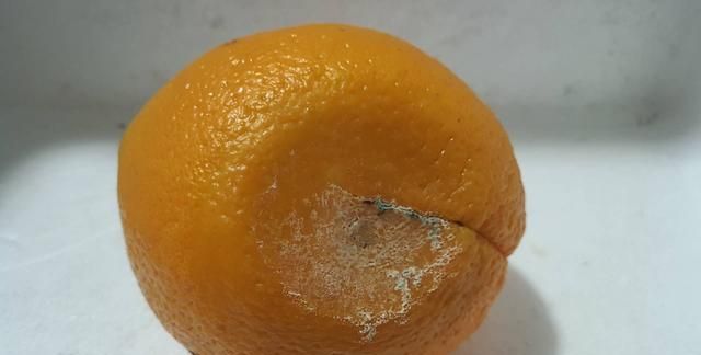 发霉腐烂的橙子坏了一点，可以吃吗？80后怎么让其变废为宝