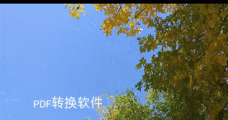 视频去水印快速无痕！实用干货分享