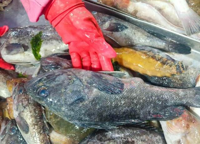 休渔期，市场上这种海鱼遇到别错过，4元一斤，还是纯深海鱼