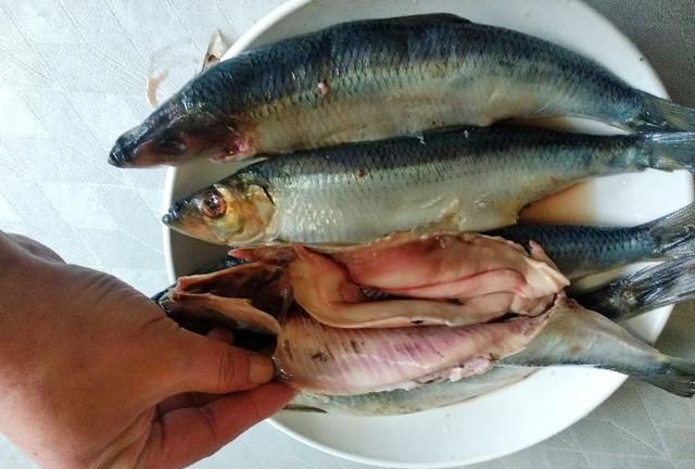 休渔期，市场上这种海鱼遇到别错过，4元一斤，还是纯深海鱼