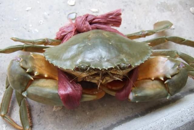 【科学原理一点通】说好死了的螃蟹不能吃，为什么超市里还卖冰冻螃蟹？