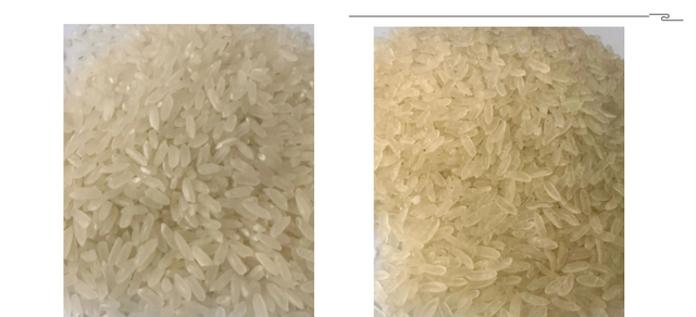 自热米饭中的米是“真大米”吗？