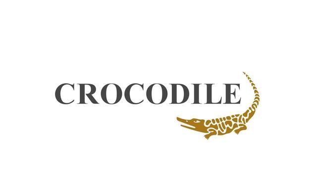 LACOSTE、Cartelo、Crocodile，究竟哪个是真鳄鱼？