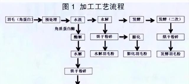 晟大生物 | 饲料中的各种粉，你分清楚了吗？