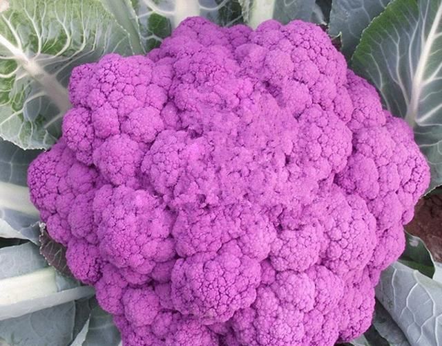 还不知道这35种紫色蔬菜你太亏了！富含花青素，营养又美味