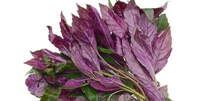 还不知道这35种紫色蔬菜你太亏了！富含花青素，营养又美味