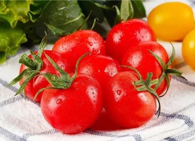 圣女果和千禧果都是西红柿，价格却相差一倍，二者究竟有何区别？