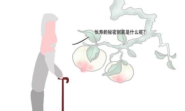 老人说：“门前栽三树，家兴人丁旺”，指的哪三种树，有道理吗？