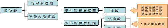 营养学专家张炳文：榛子富含油酸，可降血脂、预防心血管疾病