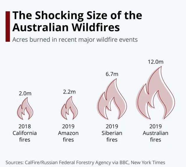 澳洲大火缘何肆虐？一个恶性循环的过程