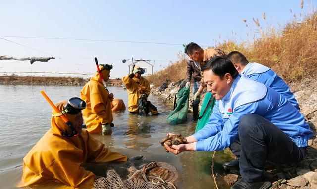 养殖池塘里有那么多生物，它们是如何维持食物链生态平衡？