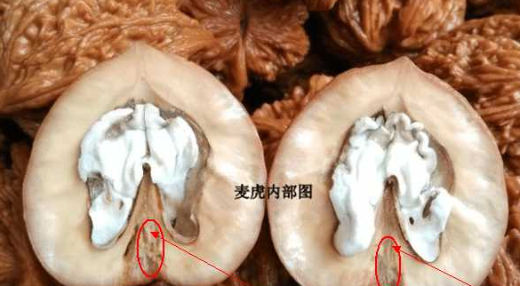 文玩核桃露脐有什么影响,哪些文玩核桃的脐是死脐图3