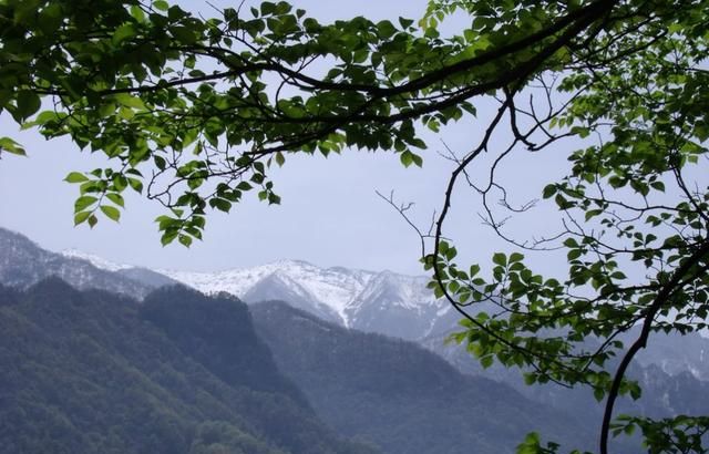 中国“最白”景区——太白山、长白山和白石山