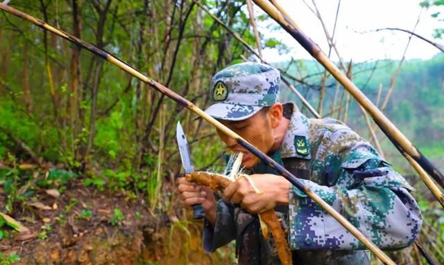 钻木取火、挖野菜……这样的野战生存你见过多少？